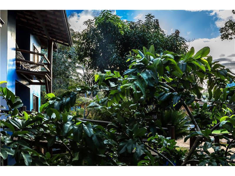 Arpoador Flat Aparthotel Itacare Ngoại thất bức ảnh